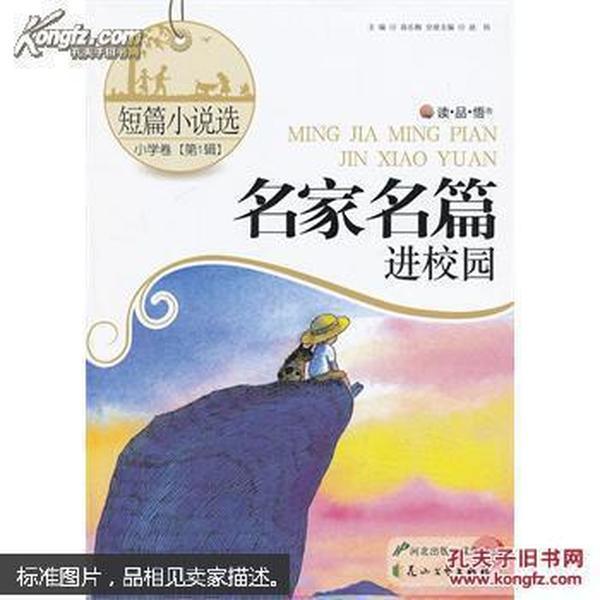 针织裙